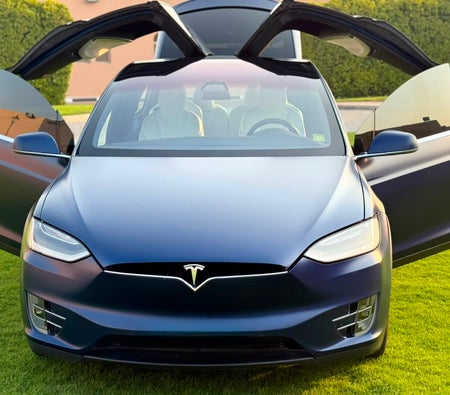 Used Tesla Model X P100D  in Abu Dhabi